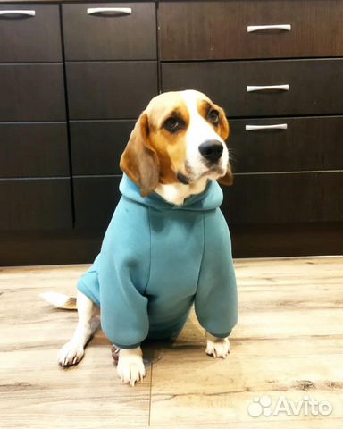 Кофта для собак