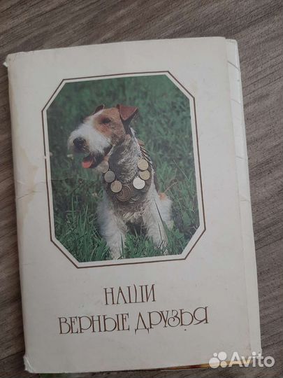 Энциклопедия быта, папка РСФСР, набор открыток