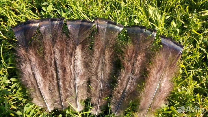 Перья для творчества, украшений