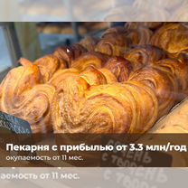 Прибыльный бизнес пекарни по франшизе, бизнес, Верхотурье