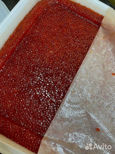 Икра красная нерки, июнь 2023 года