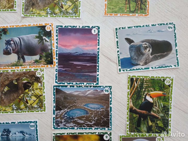 Наклейки Живая планета пуд