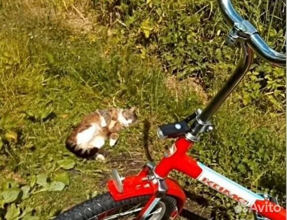 Велосипед взрослый Кама