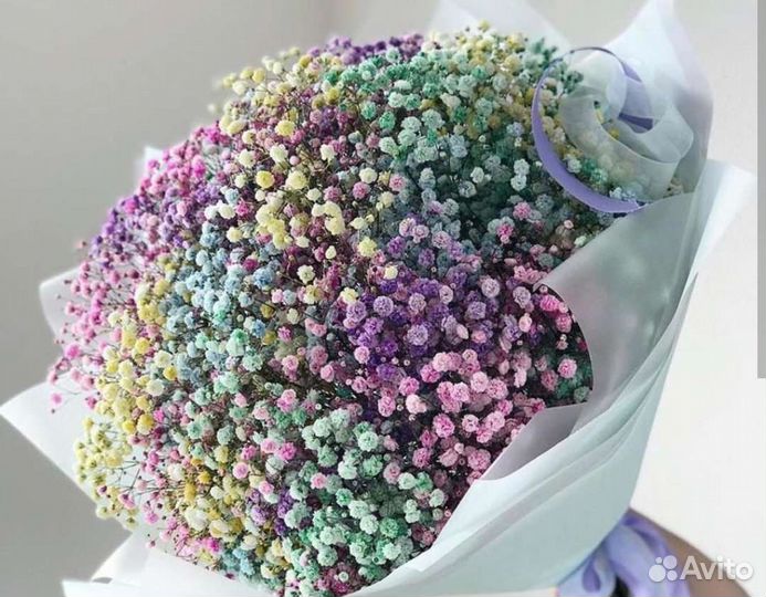 Букеты из цветной Гипсофилы, доставка