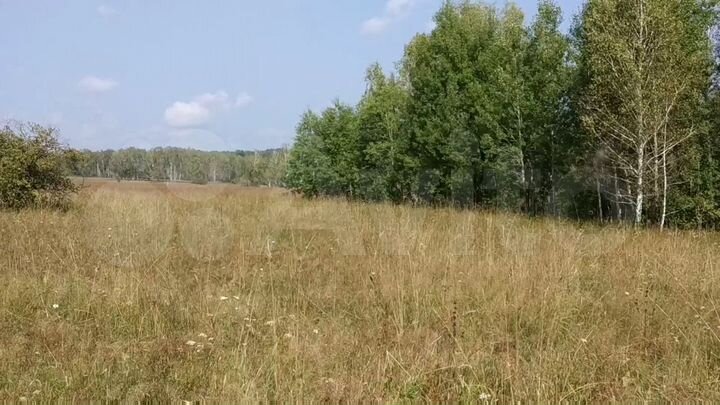 Участок 26 га (СНТ, ДНП)