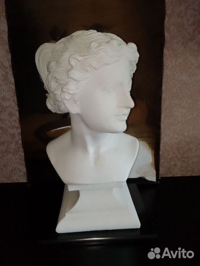 Гипсовый бюст