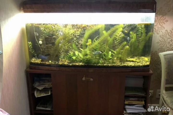 Аквариум с тумбой