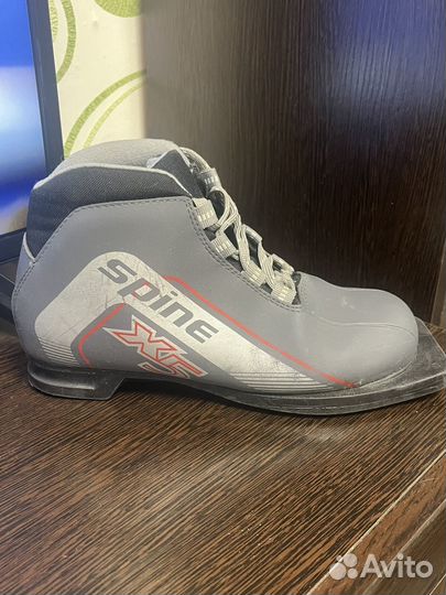 Лыжные ботинки spine