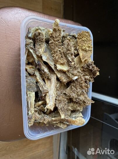 Лакомства для собак