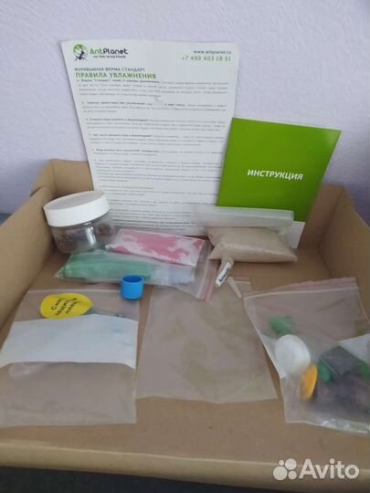 Муравьиная ферма antplanet