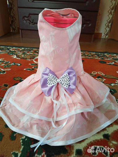 Одежда, обувь для маленькой собачки