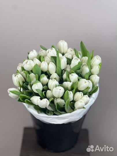 Тюльпаны в москве