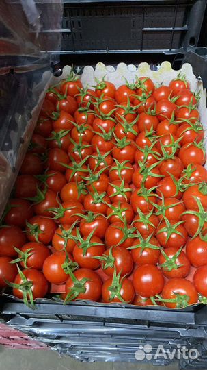 Овощи фрукты