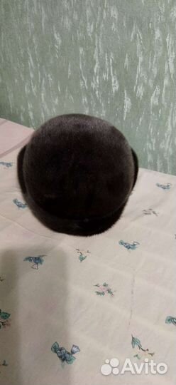 Мужская шапка нерпа 58-60