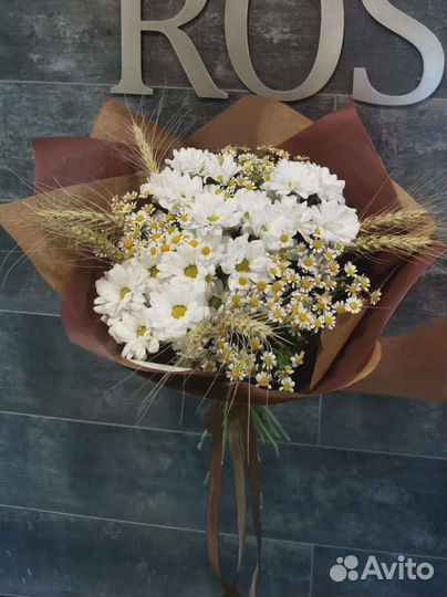 Ромашка, танацетум