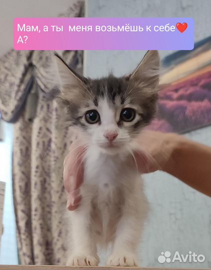 Крохе нужна мамочка