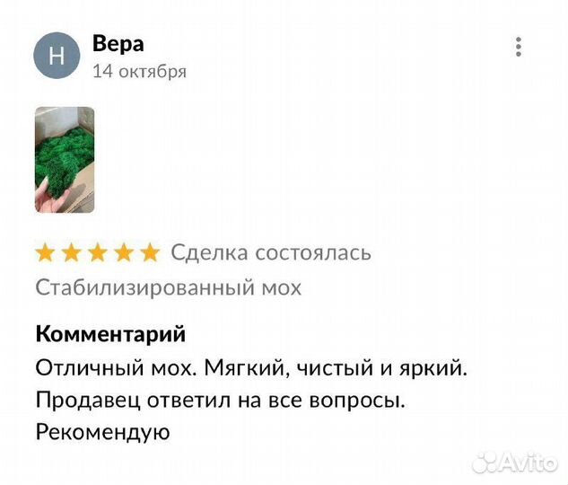 Панно из мха 40 см