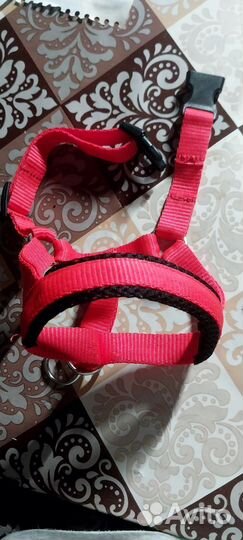 Недоуздок для собак, халти