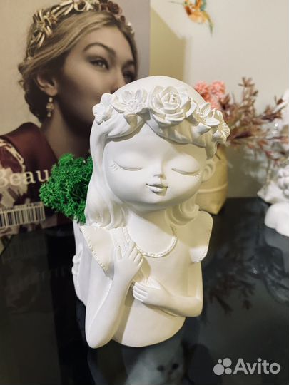 Мох стабилизированный в кашпо новое