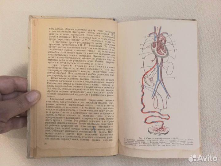 Книга.Анатомо-физ.особенности дет.возраста.1963 г