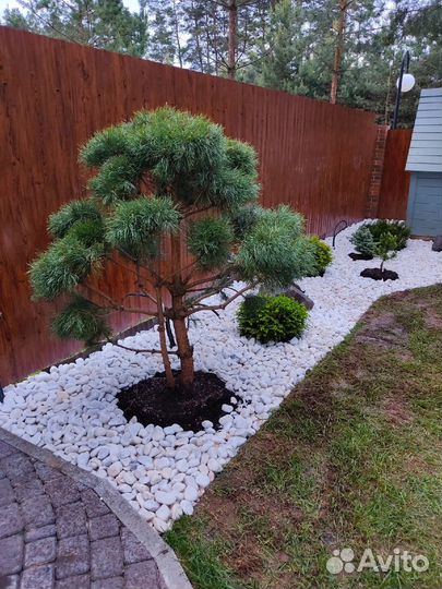 Мраморная крошка