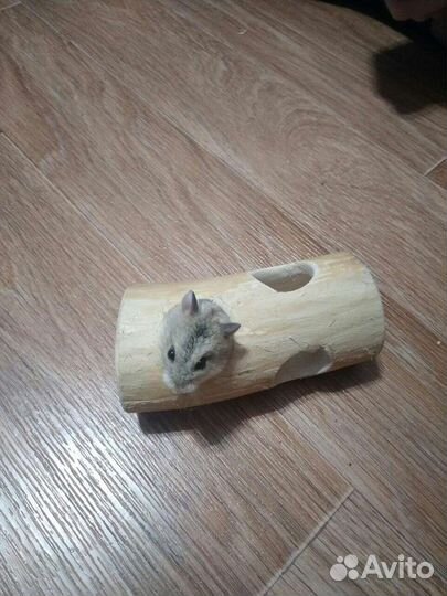 Туннель в клетку для хомячка