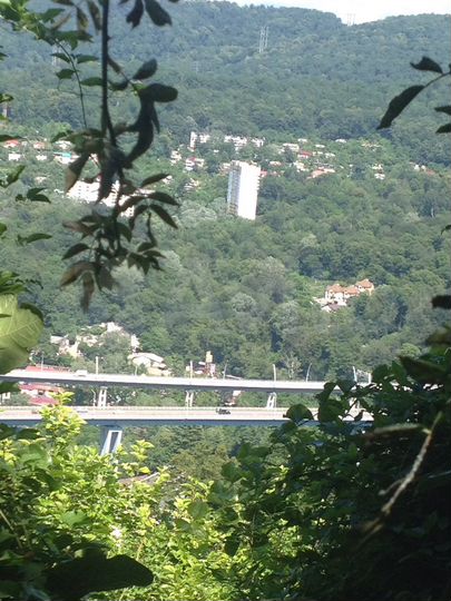 Участок 6 сот. (СНТ, ДНП)