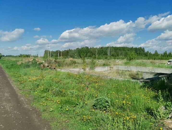 Участок 10 сот. (ИЖС)