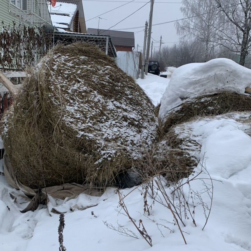 Сено в тюках