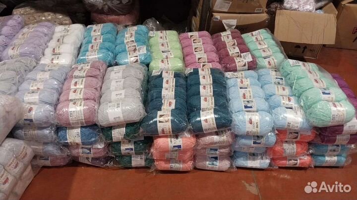 Himalaya dolfin baby