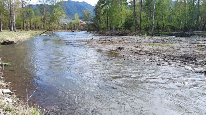 Участок 1,17 га (ИЖС)