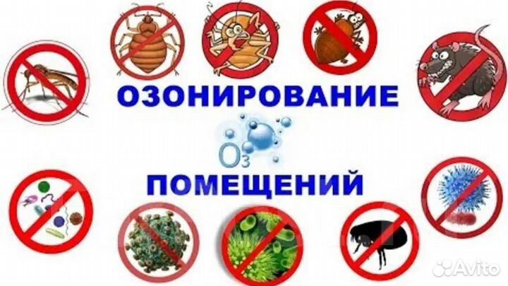Аренда озонатора воздуха (очистителя, устранение з