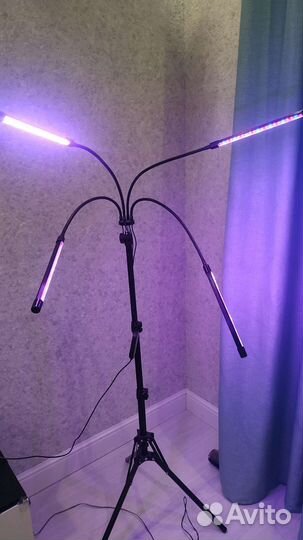 Фитолампа для растений