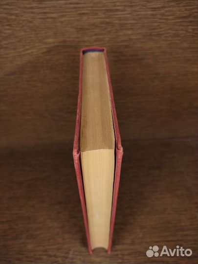 Э. Выгодская. Опасный ьеглец. Пламя гнева