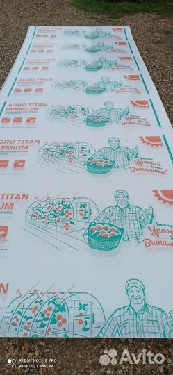 Парники теплицы бу