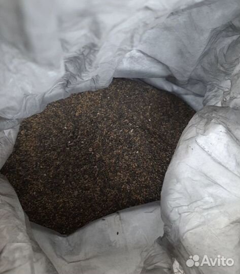 Продам семена люцерны сорта,Вега