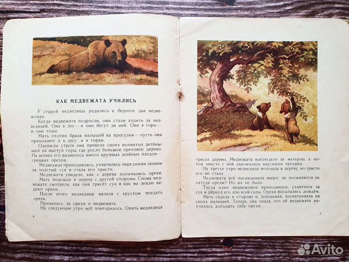 Байдерин. Как медвежата учились 1957 г