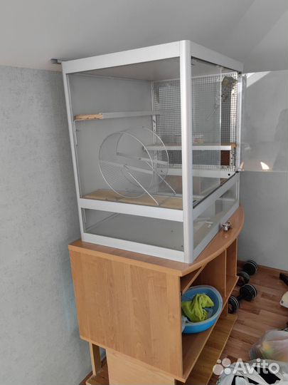 Клетка-витрина для грызунов