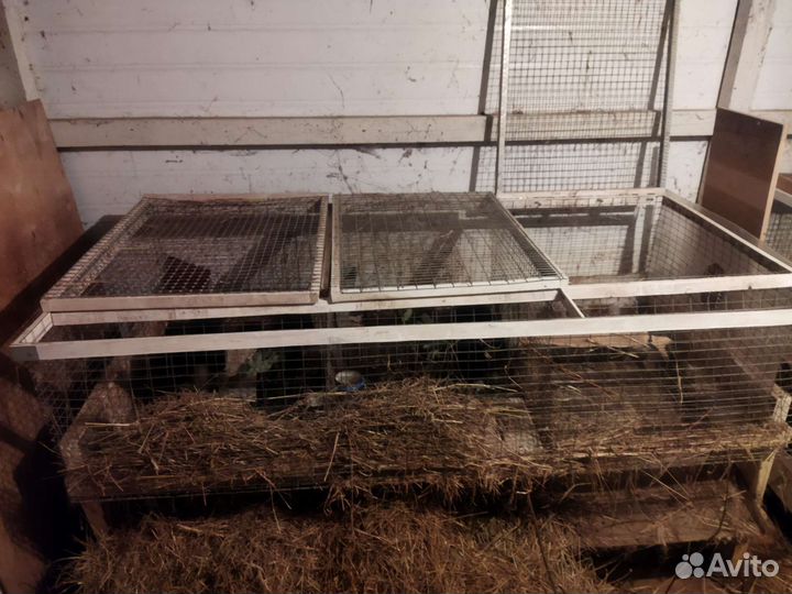 Клетки для кролика