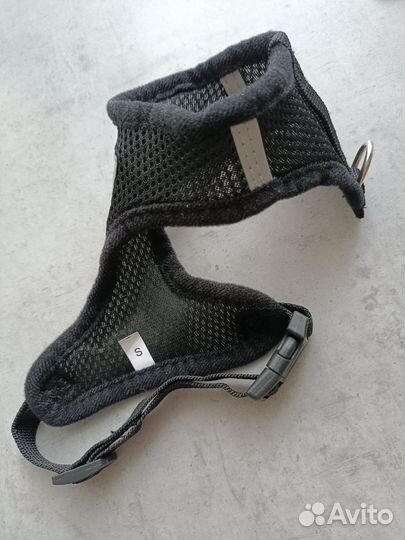 Новые товары для животных