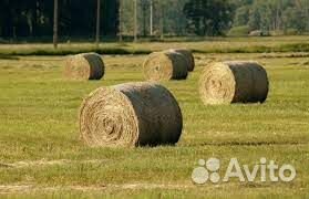 Сено луговое в рулонах 2023 с доставкой