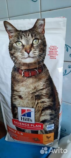 Корм для кошек hills