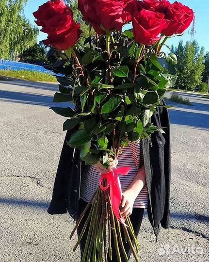 Метровые розы Доставка цветов