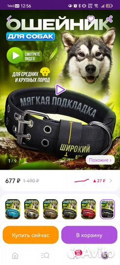 Ошейник для собак