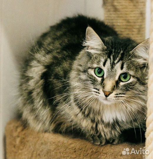 Мальвину выбросили из машины ищем дом