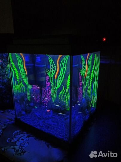 Аквариум. Зеленоград
