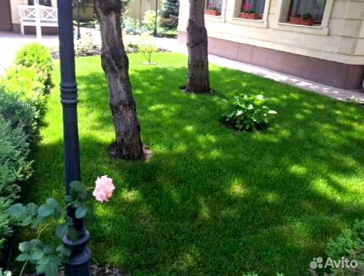 Рулонный газон от производителя