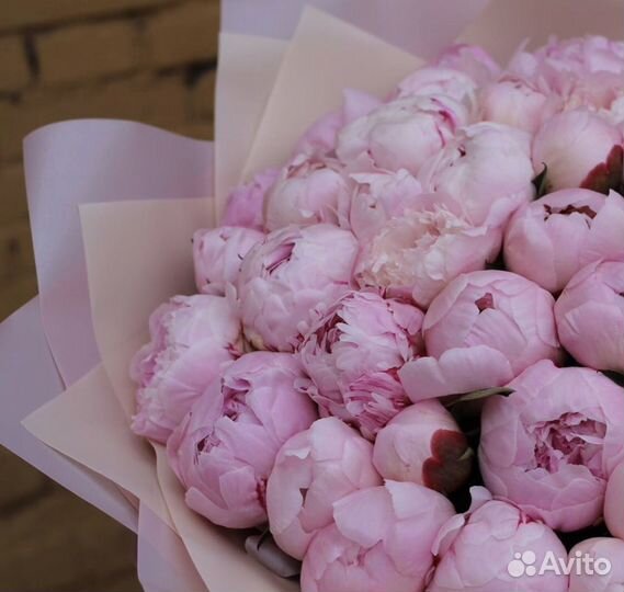 25 розовых пионов в крафте