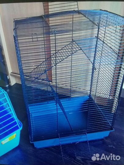 Клетка и многое дрррр