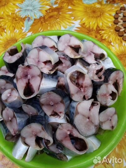 Консервы, тушёнка, домашние